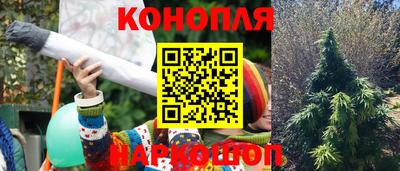 индика Дубна
