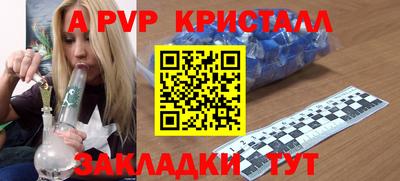 индика Дубна