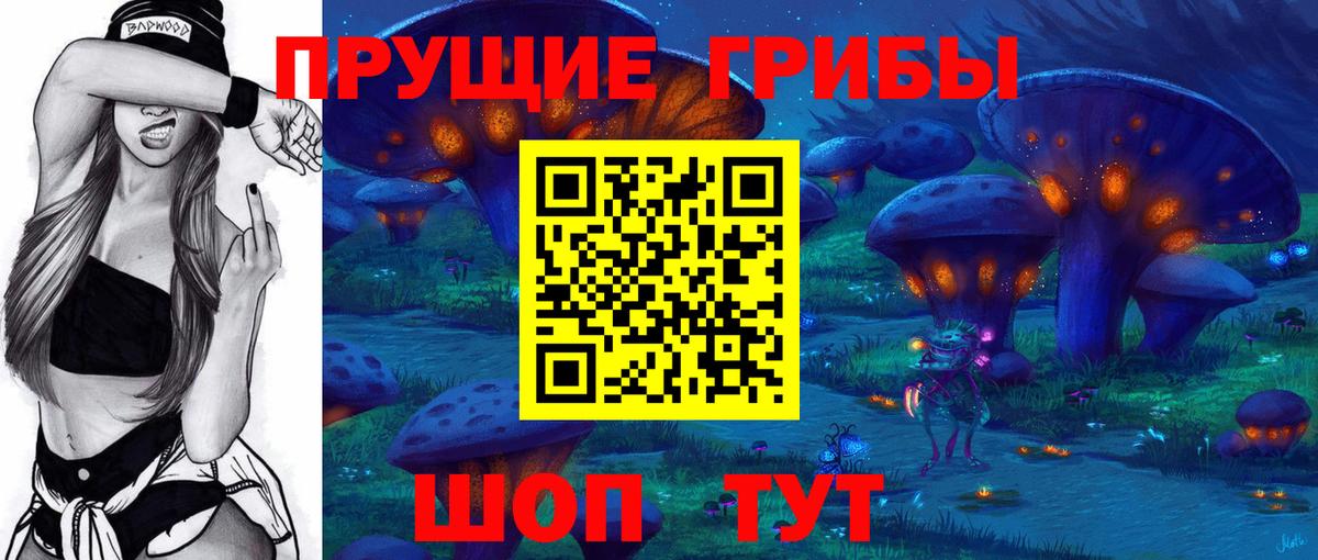 купить наркоту  Псилоцибиновые грибы Psilocybe  Вход с VPN  Новокубанск 