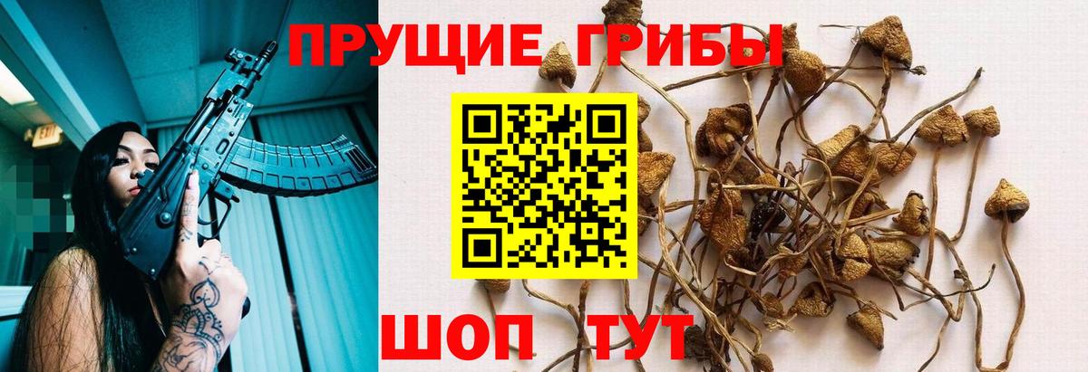 Галлюциногенные грибы ЛСД Новокубанск
